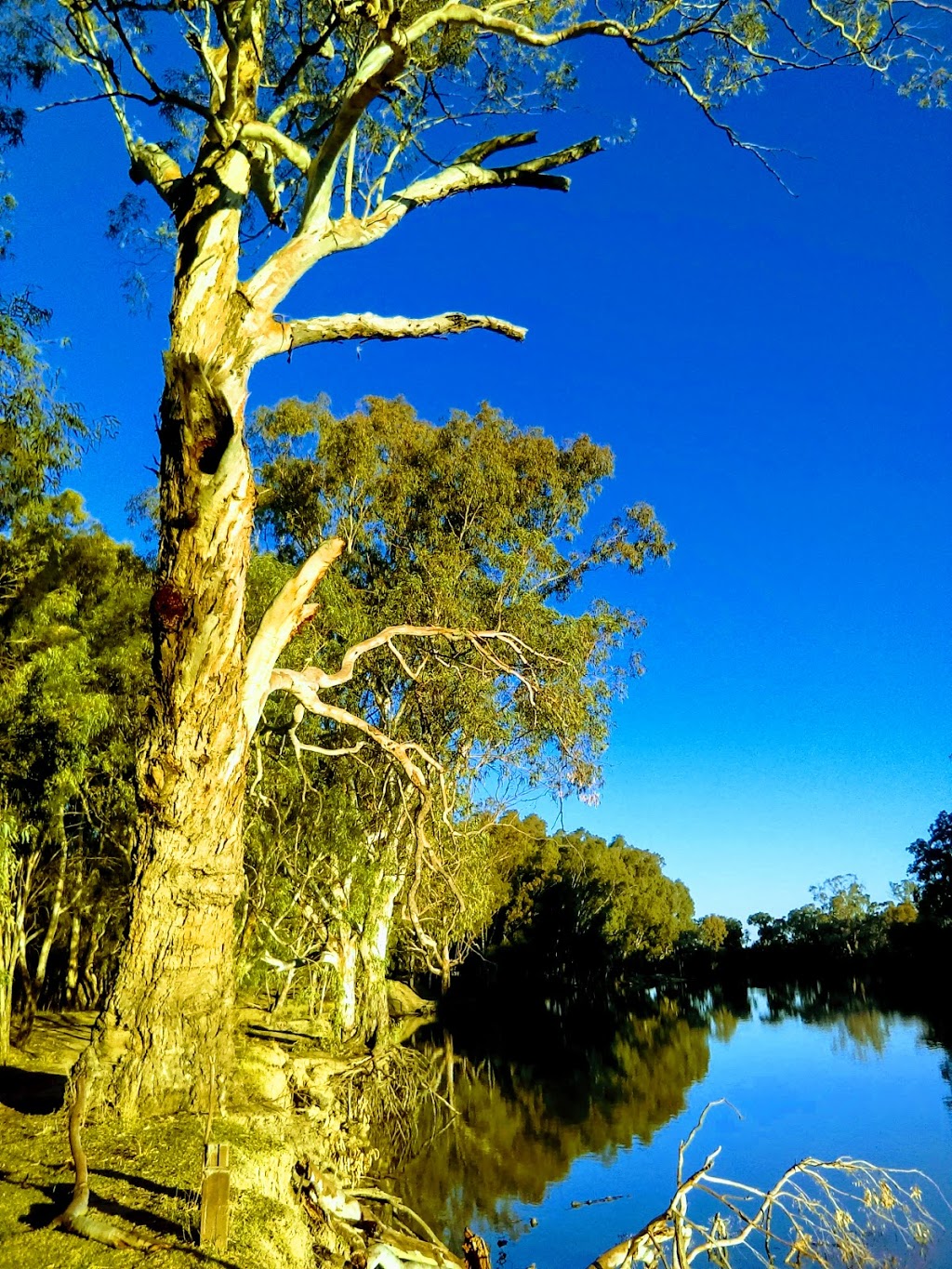 Sandy Point Reserve | Water St, Hay NSW 2711, Australia | Phone: (02) 6993 4045