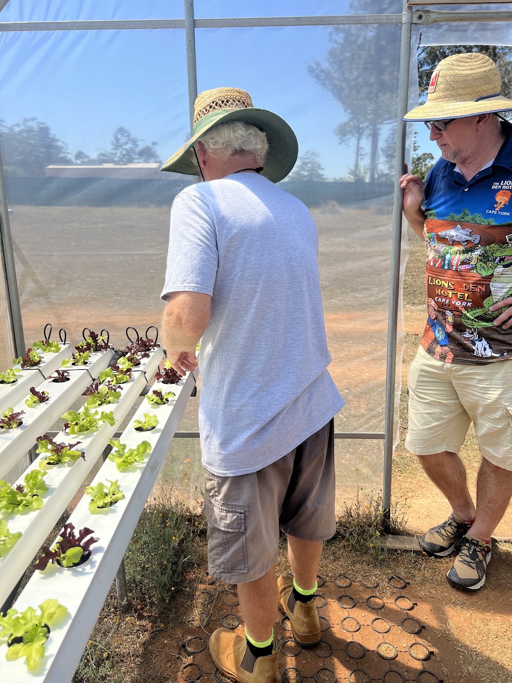 Fiery Fish Farm | 218 Martin Cres, Benarkin North QLD 4314, Australia | Phone: 0432 114 101