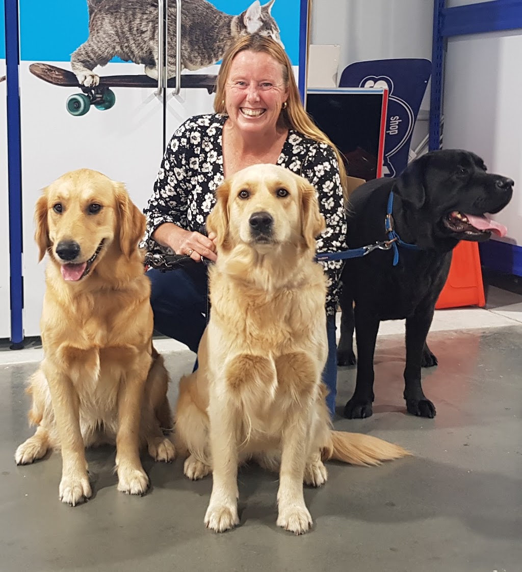 Takoda Dogs | 2941 Nelson Bay Rd, Salt Ash NSW 2318, Australia | Phone: 0417 494 868