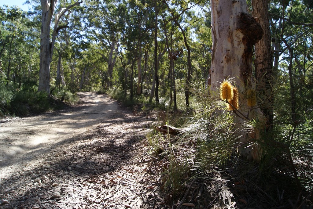 DAguilar National Park | park | Mount Glorious Road, Mount Byron QLD 4312, Australia | 137468 OR +61 137468