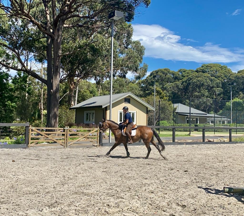 Terrey Hills Equestrian | 88 Eurabba Rd, Duffys Forest NSW 2084, Australia | Phone: 0488 210 548