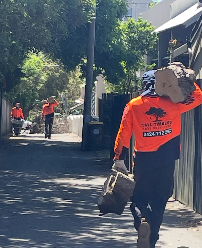 Tall Timbers Tree Solutions | 45 Leumeah Ave, Chain Valley Bay NSW 2259, Australia | Phone: 0424 712 292