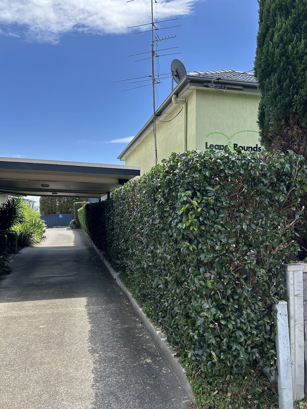Lachys Outdoor Care | 8 Stanley St, Belmont NSW 2280, Australia | Phone: 0490 397 425