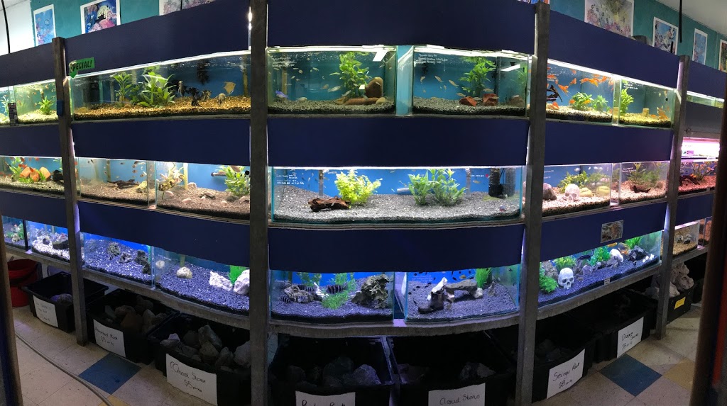 Bunarong Aquarium | 2/3 Overport Rd, Frankston VIC 3199, Australia | Phone: (03) 9783 6083