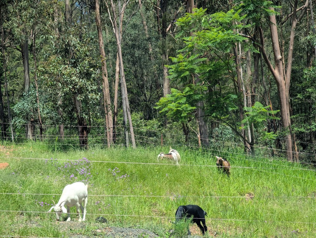 Valinor Valley Farm | Waterhouse Rd, Summerholm QLD 4341, Australia | Phone: 0490 816 523