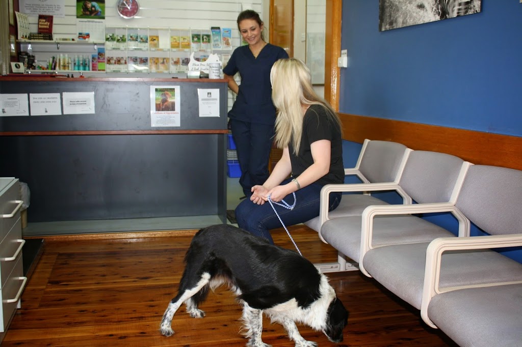 Bligh Park Pet Health Centre | veterinary care | 48 Rifle Range Rd, South Windsor NSW 2756, Australia | 0245777061 OR +61 2 4577 7061