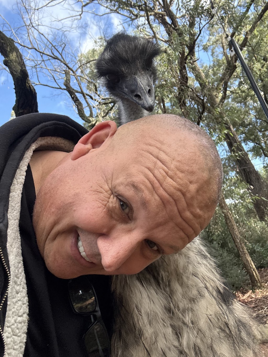 Help Save The Wildlife And Bushlands In Campbelltown | nymboida cres, Ruse NSW 2560, Australia | Phone: 0434 026 799