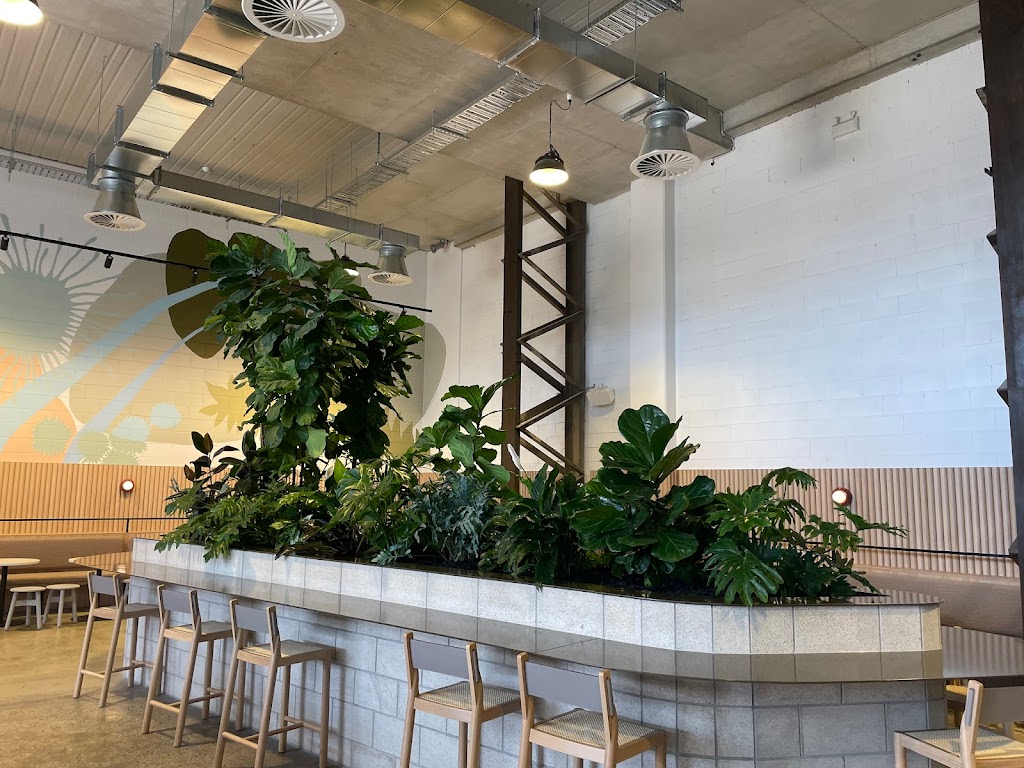 TLC Works and TLC Indoor Gardens | 603-613 Londonderry Rd, Londonderry NSW 2753, Australia | Phone: 1300 852 360