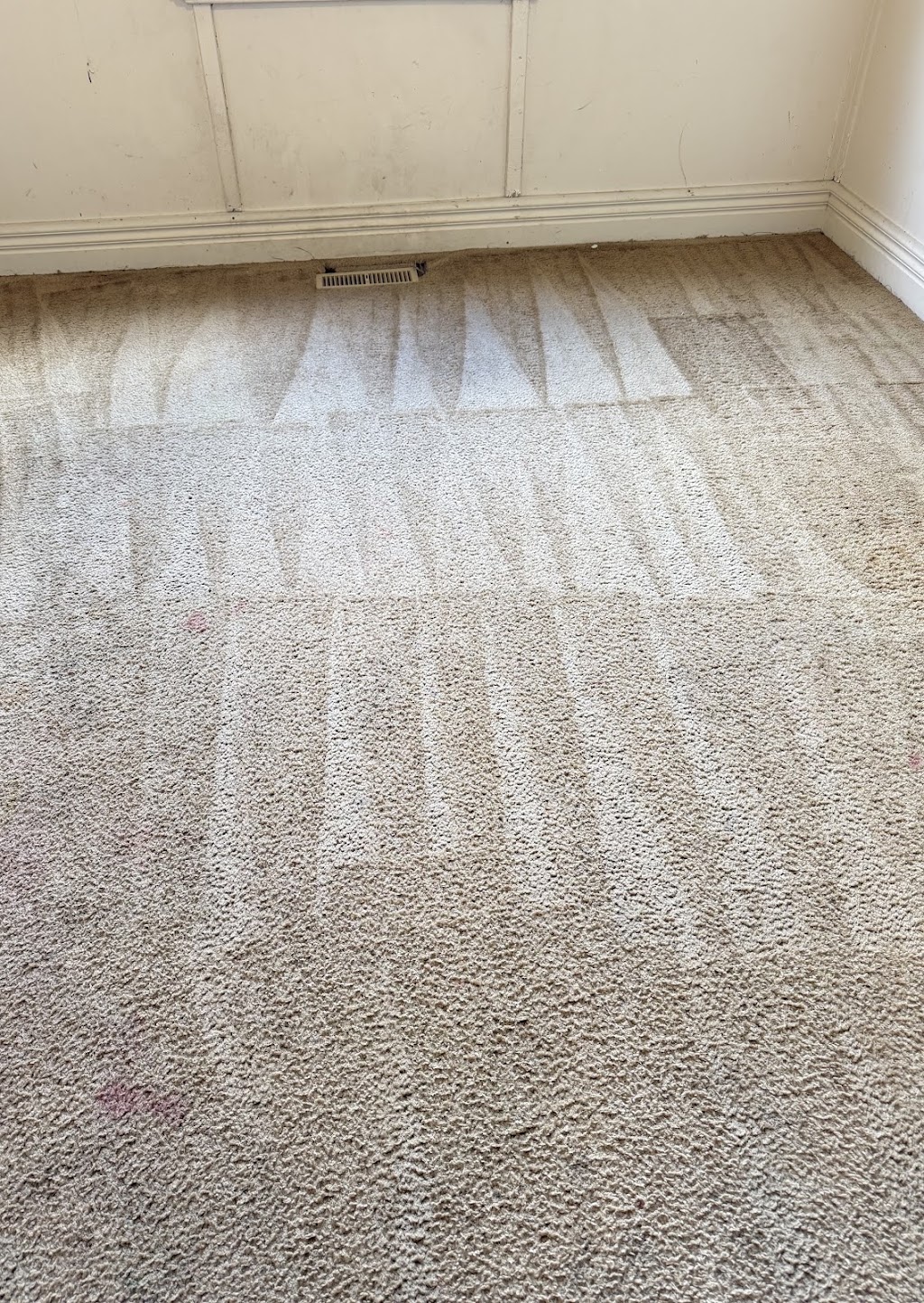 Ozzy Carpet Cleaning | 22 Gibson Way, Maddingley VIC 3340, Australia | Phone: 0406 852 749