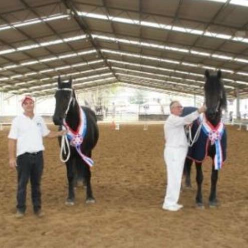 Sugarloaf Equestrian Centre | 315 Coates Park Rd, Cobbitty NSW 2570, Australia | Phone: (02) 4651 2489