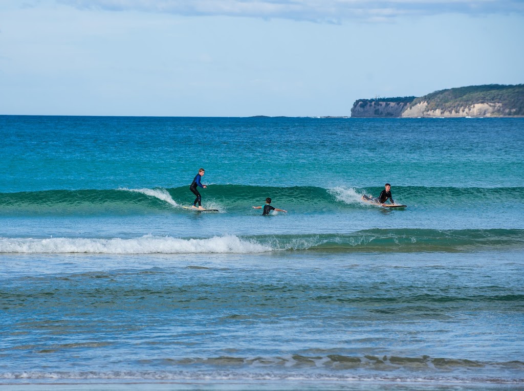 Jessie Brewster Photography | 29 Mountain Mist Dr, Bright VIC 3741, Australia | Phone: 0421 441 645