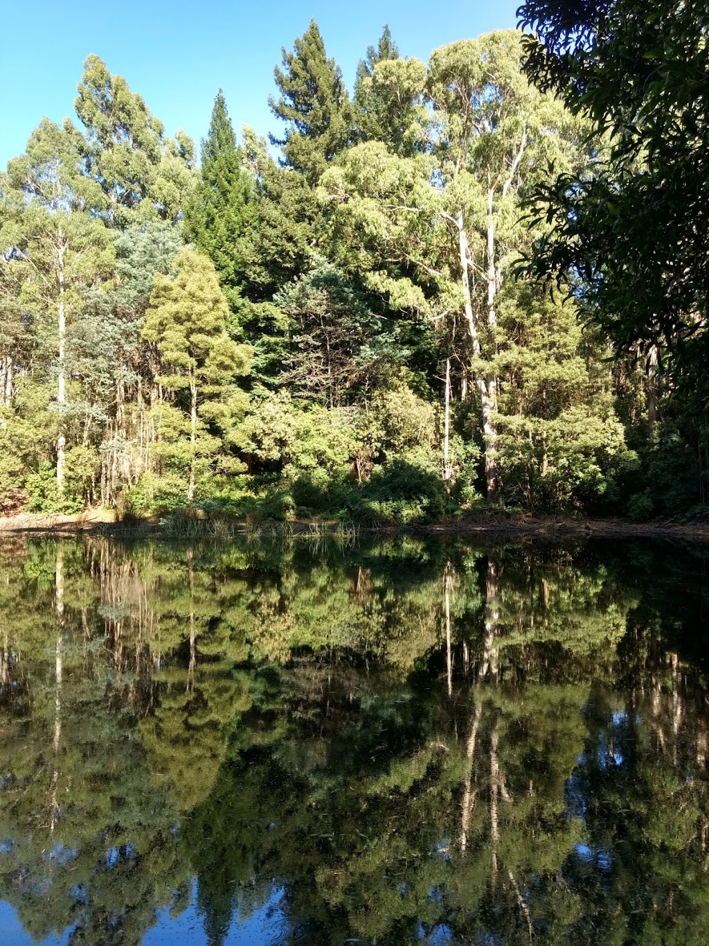 Sanatorium Lake Nature Walk | Unnamed Road, Mount Macedon VIC 3441, Australia