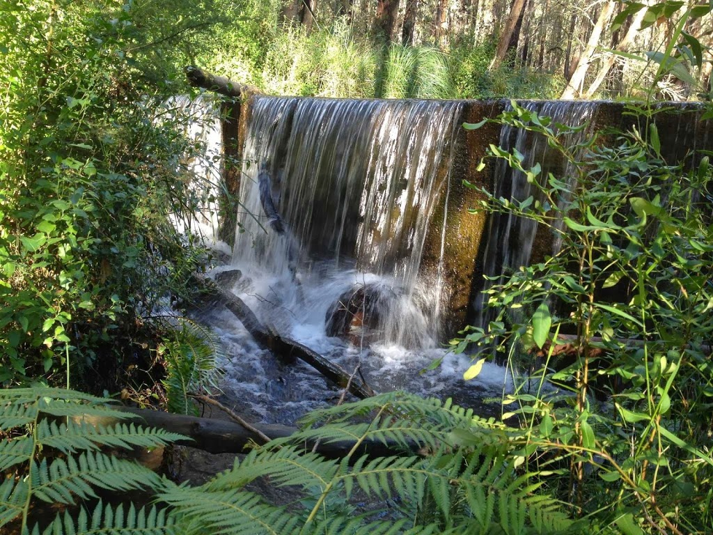 Kinglake Forest Adventures | 1419 Whittlesea-Yea Rd, Kinglake West VIC 3757, Australia | Phone: (03) 5771 1287