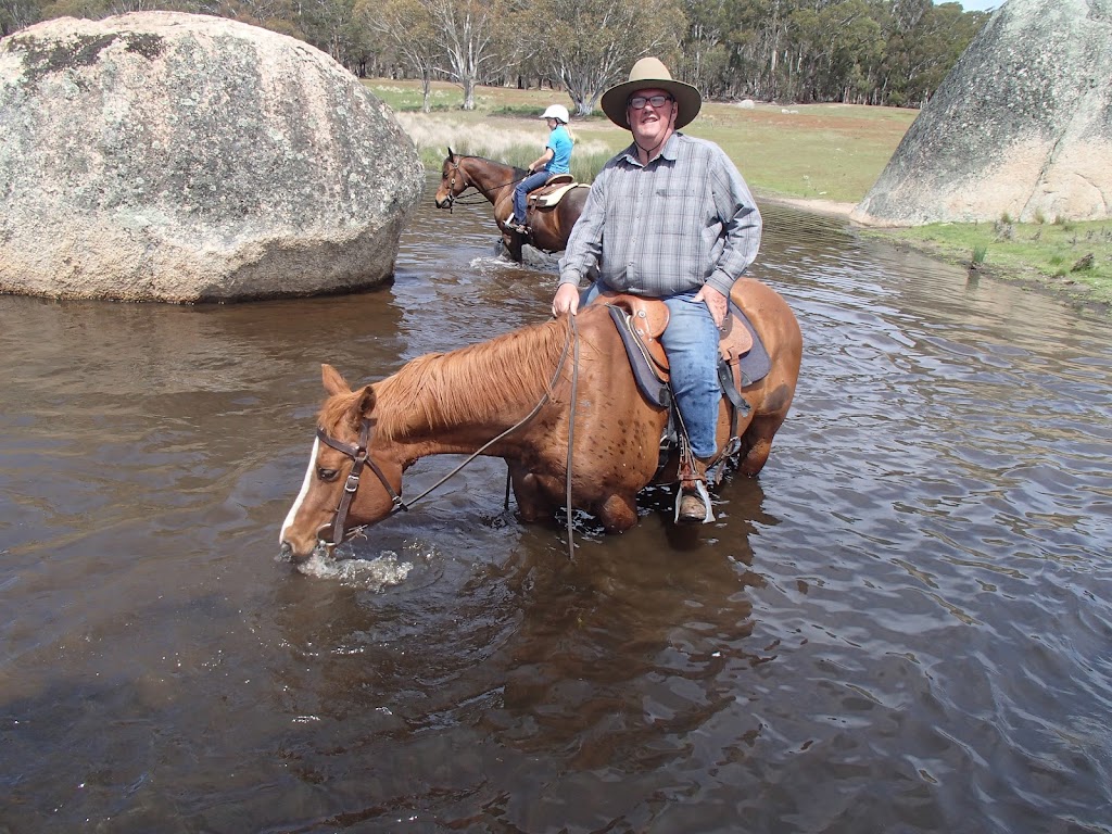 Cherry Tree Equine | 397 Greenhills Rd, Jerangle NSW 2630, Australia | Phone: 0413 609 880