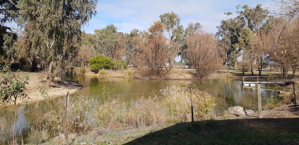 Oasis Caravan Park | 8 Racecourse Rd, Cobram VIC 3644, Australia