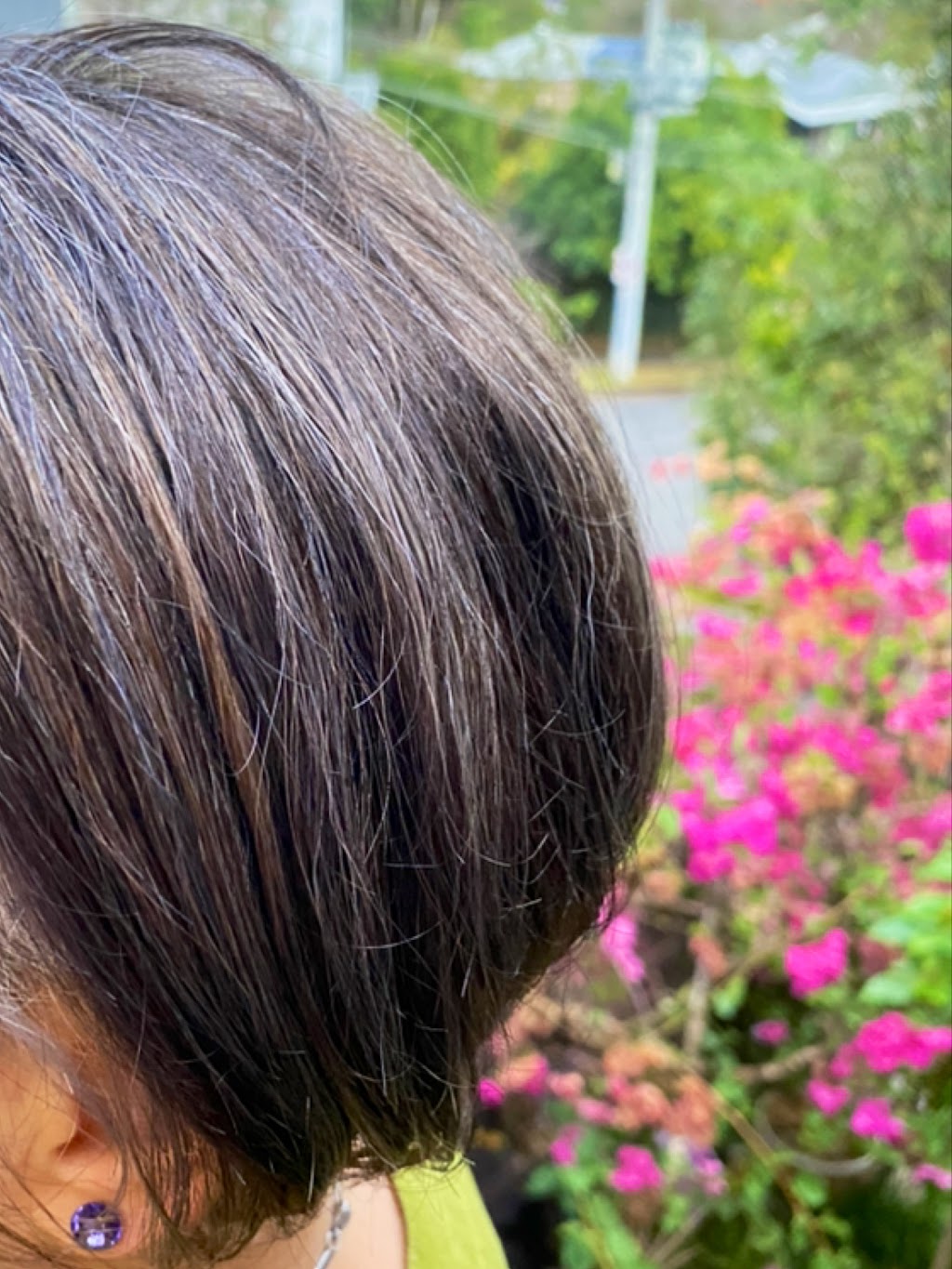 Fil-A-Bolus | 132 Kennedy Ter, Paddington QLD 4064, Australia | Phone: (07) 3367 2458