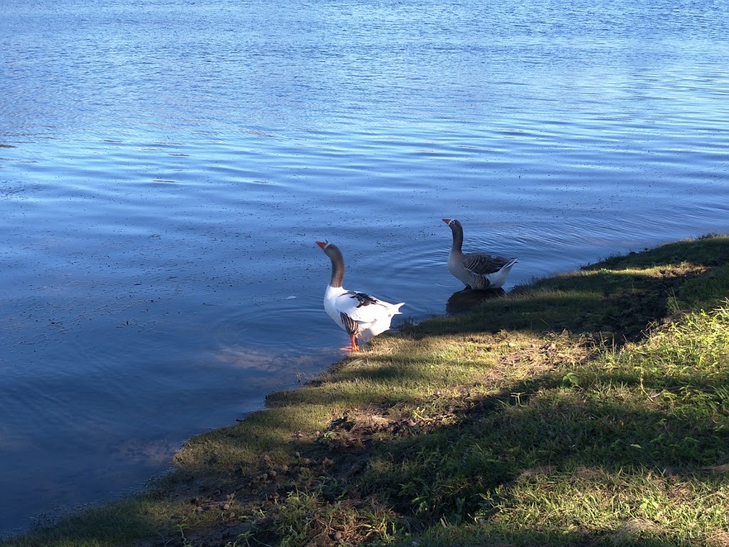 Kempsey Riverside Park | park | 1 Verge St, Kempsey NSW 2440, Australia