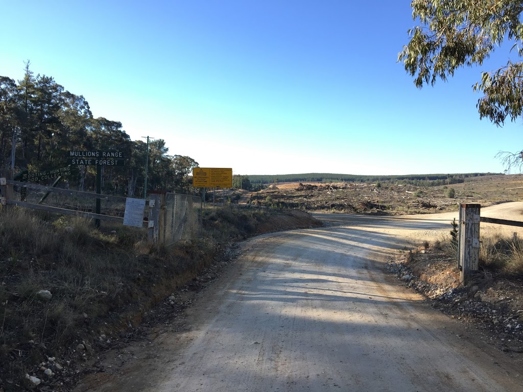 Mullions Range State Forest | park | Black Mountain Rd, Kerrs Creek NSW 2800, Australia