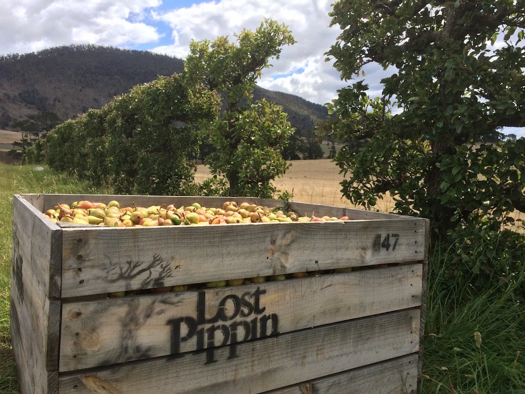 Lost Pippin | Colebrook Rd, Richmond TAS 7025, Australia | Phone: 0417 569 163