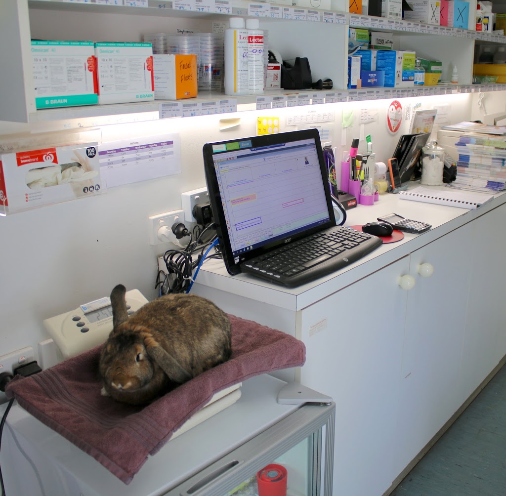 Lake Road Veterinary Clinic | 327 Lake Albert Rd, Wagga Wagga NSW 2650, Australia | Phone: (02) 6922 4659