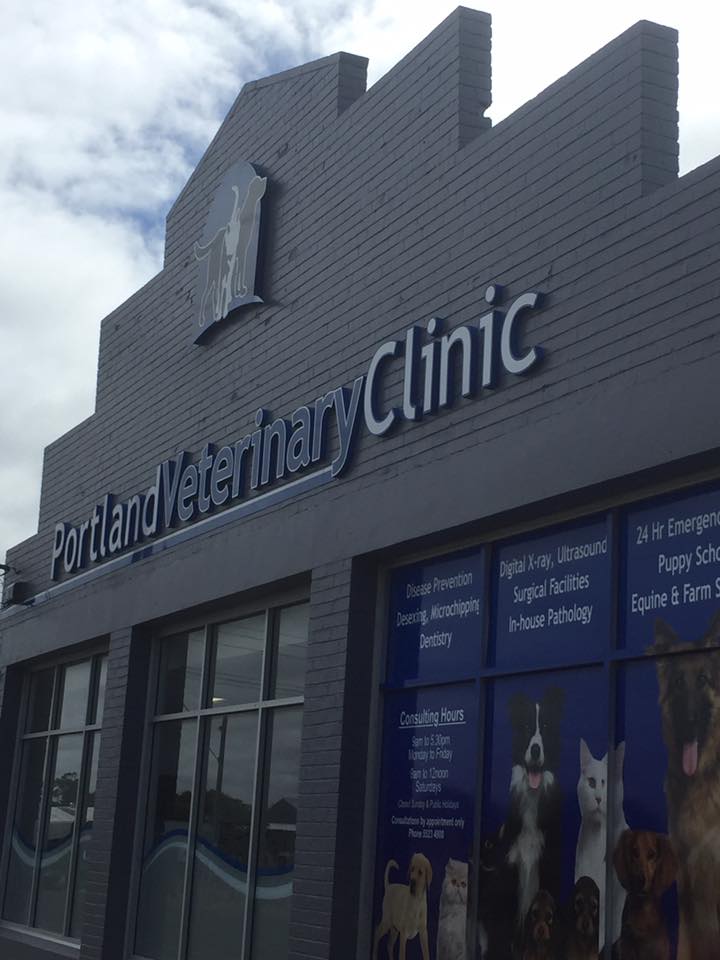 Portland Veterinary Clinic | veterinary care | 176 Percy St, Portland VIC 3305, Australia | 0355234900 OR +61 3 5523 4900