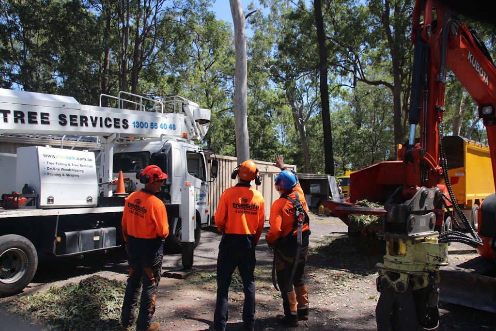Treesafe Environmental Services | 84 Veivers Rd, Wolffdene QLD 4207, Australia | Phone: 1300 554 048