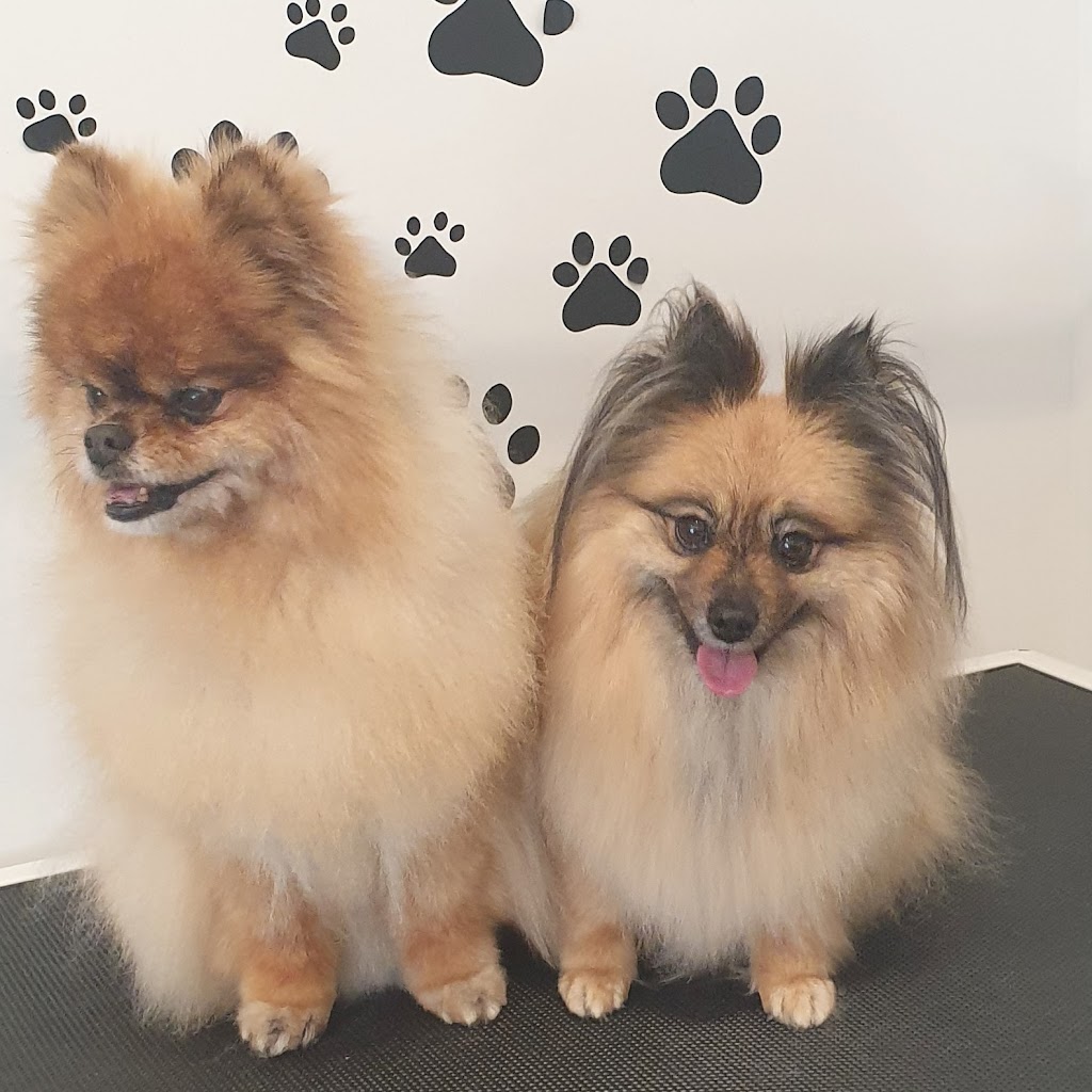 Tidy Tails | 21 Tinsmith Dr, Kyneton VIC 3444, Australia | Phone: 0408 878 339