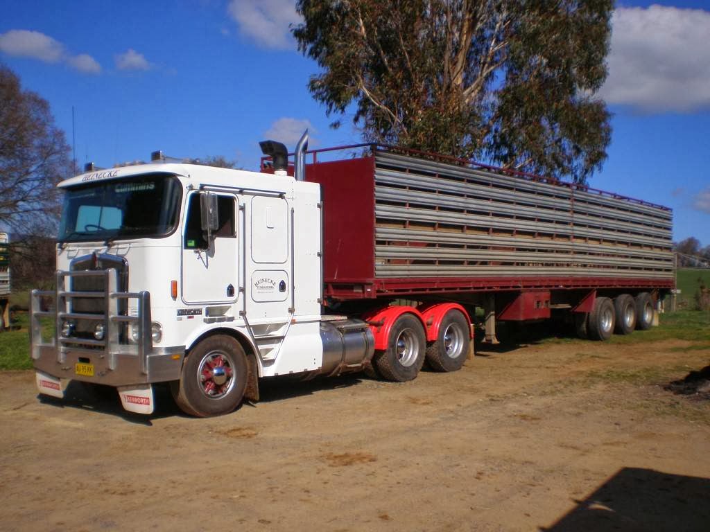 Heinecke Livestock Transport | moving company | 56 Courabyra Rd, Tumbarumba NSW 2653, Australia | 0269482281 OR +61 2 6948 2281