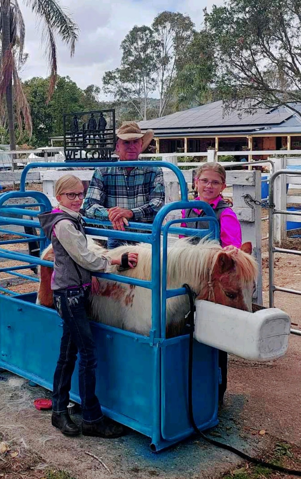 Ability 2 discover | 758 Rosewood Marburg Rd, Marburg QLD 4346, Australia | Phone: 0438 767 974