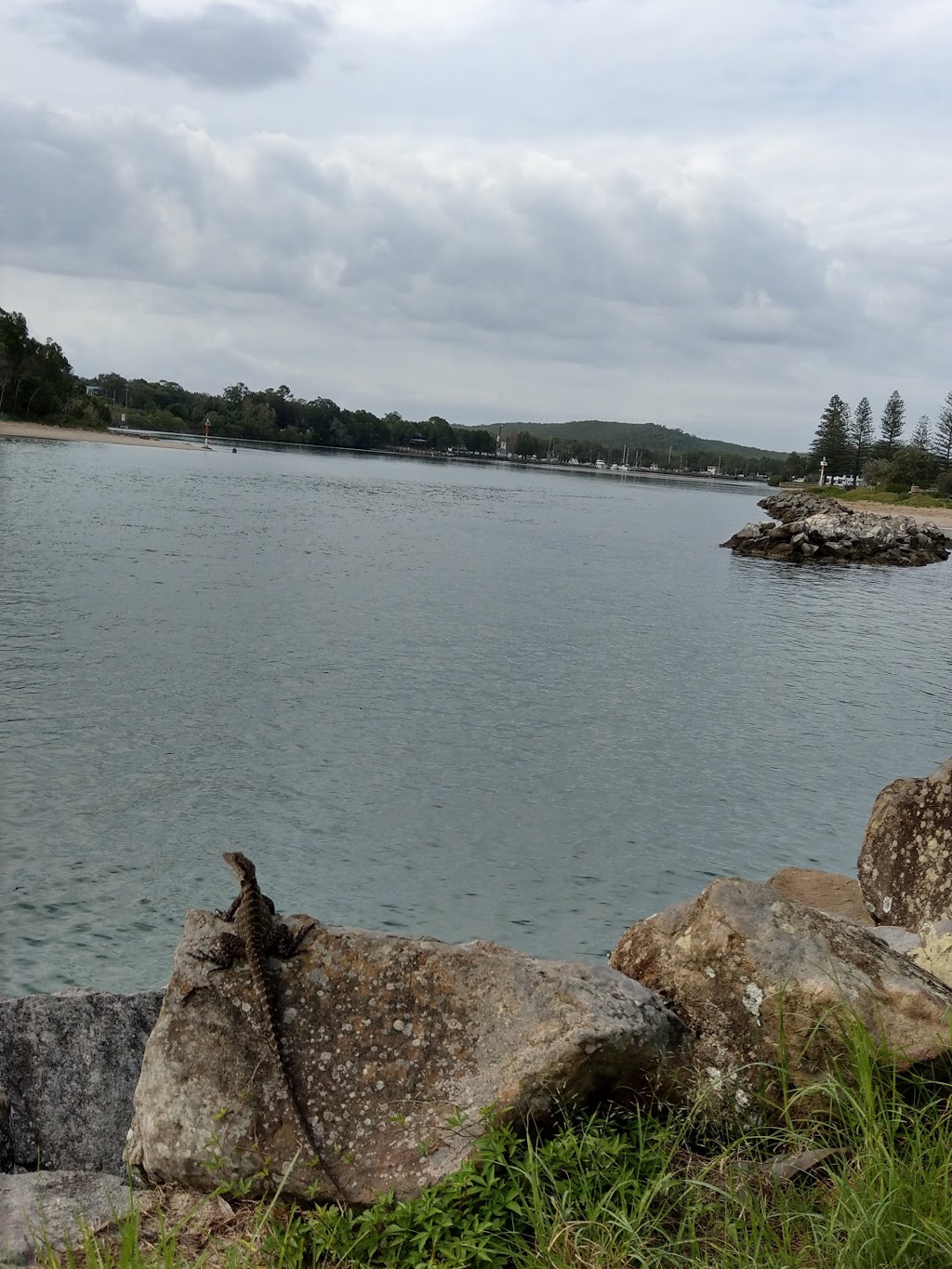 Evans Head Skatepark | Evans Head NSW 2473, Australia