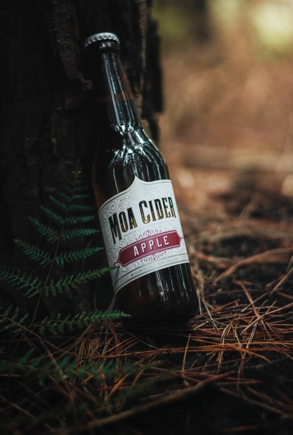 Farrow | Hobart Photography | Long Point Rd, Sandy Bay TAS 7005, Australia | Phone: 0426 950 458