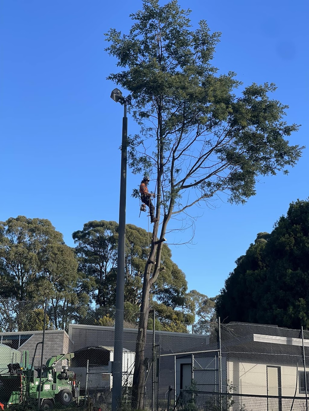 Pakenham tree services | Bate Cl, Pakenham VIC 3810, Australia | Phone: 0474 762 445