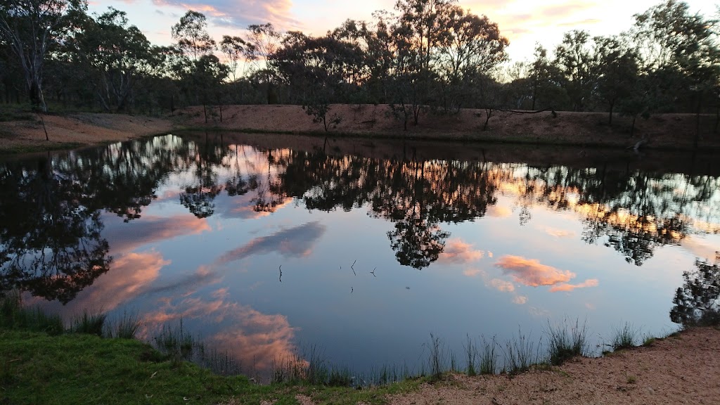 Mulligans Flat Nature Reserve | Australian Capital Territory 2914, Australia