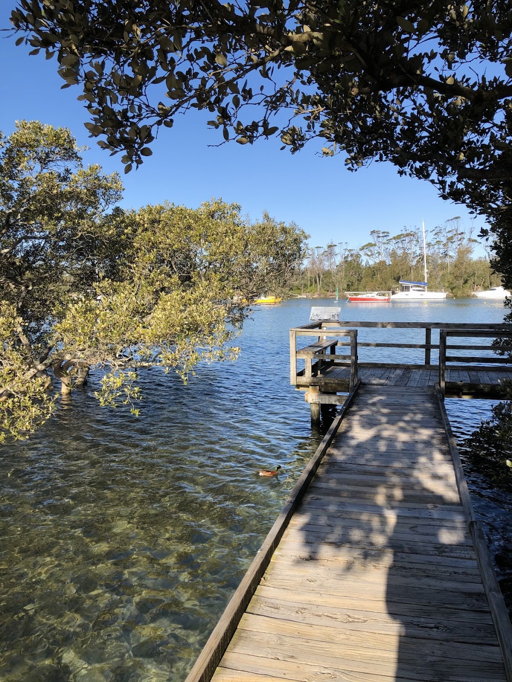 Jervis Bay Mangrove Boardwalk | park | 2a Dent St, Huskisson NSW 2540, Australia