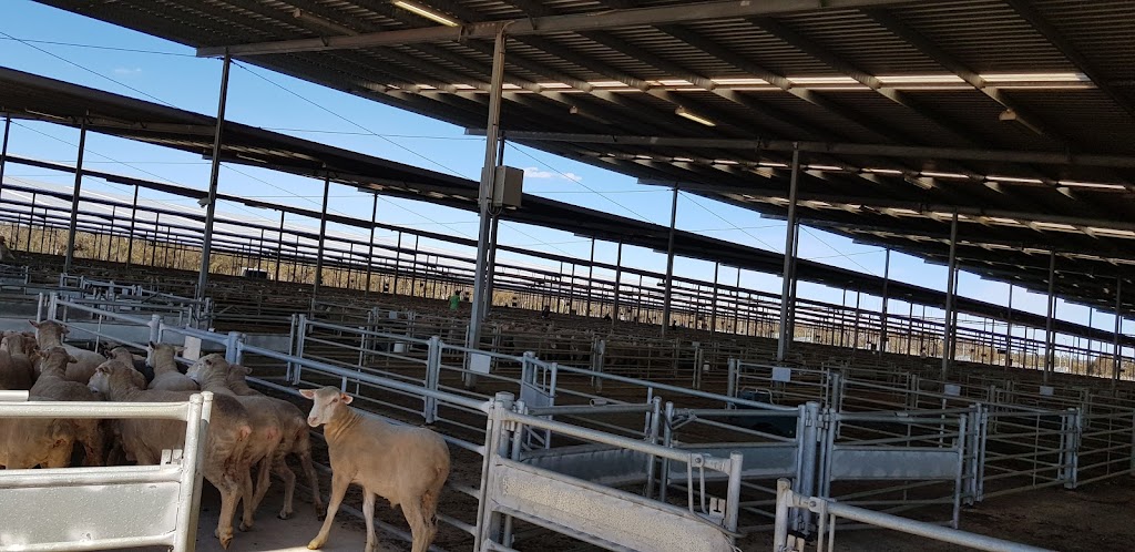 Katanning Sheep Saleyards |  | Katanning WA 6317, Australia | 0898219999 OR +61 8 9821 9999