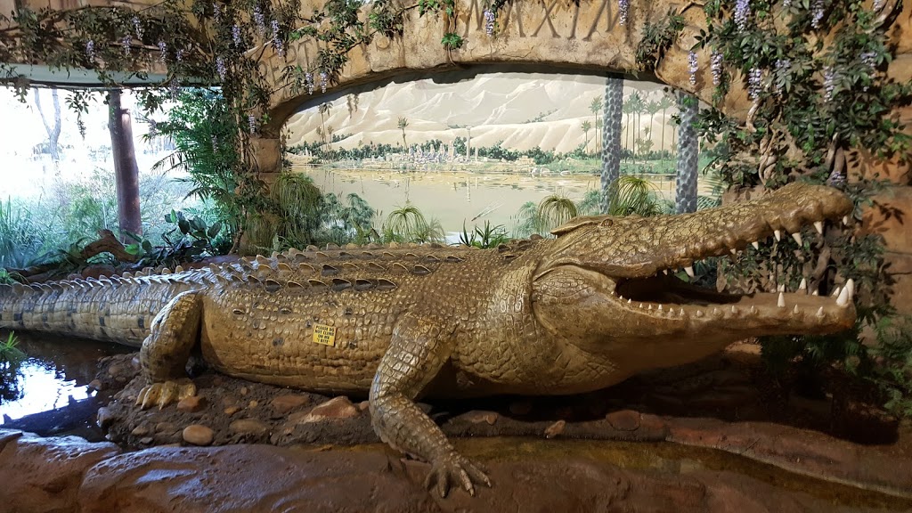 Australian Reptile Park | 69 Pacific Hwy, Somersby NSW 2250, Australia | Phone: (02) 4340 1022