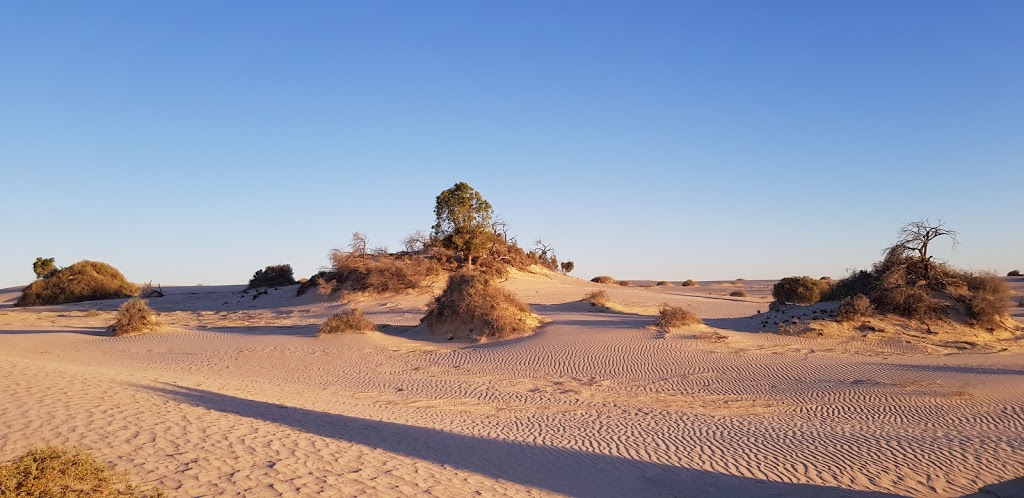 Mungo National Park Tours - Outback Geo Adventures | 126 Ballandella St, Balranald NSW 2715, Australia | Phone: 0407 267 087