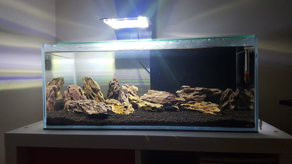 The Aquarium Factory | pet store | 1f/981 Mountain Hwy, Boronia VIC 3155, Australia | 0397209977 OR +61 3 9720 9977