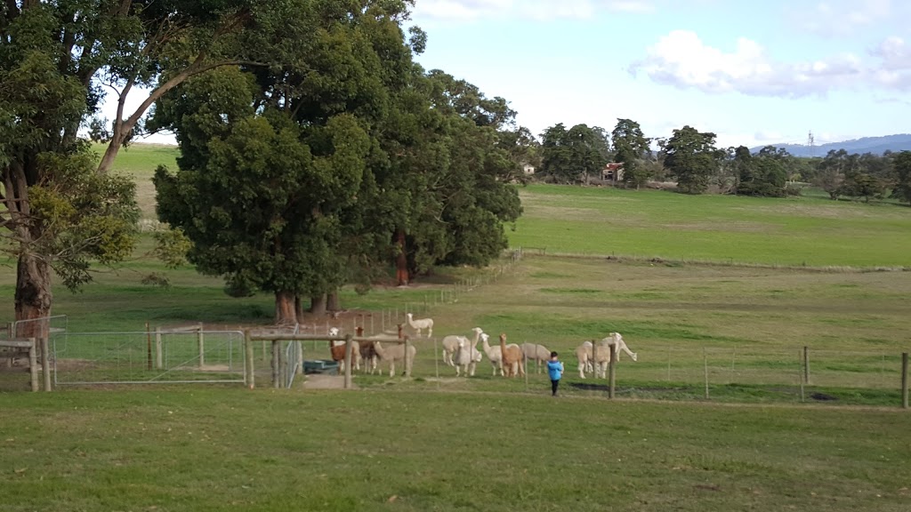 Raynella Alpaca Farmstay B & B | lodging | 54 Ingram Rd, Gruyere VIC 3770, Australia | 0359649242 OR +61 3 5964 9242