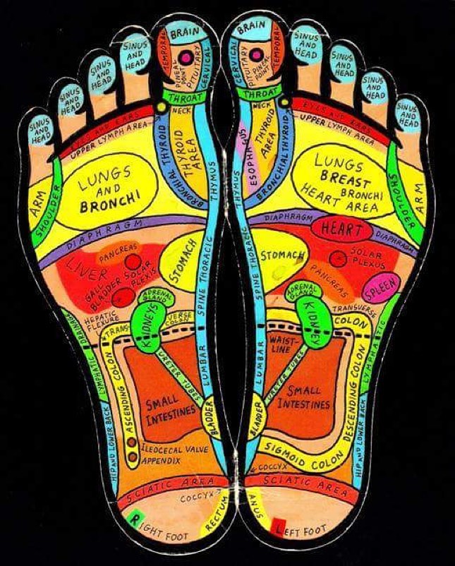 Tracey Holland Reflexology | 10 Aubrey St, Camp Hill QLD 4152, Australia | Phone: 0438 113 512