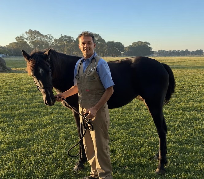 Geelong & District Equine | 15 Reads Rd, Gnarwarre VIC 3221, Australia | Phone: 0452 124 585