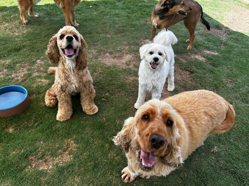 Rocky Ridge Pet Resort | 3 Jones Rd, Calga NSW 2250, Australia | Phone: 0435 764 422