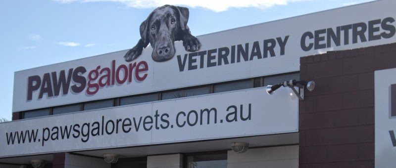 Paws Galore Vets | veterinary care | 145/147 Beach Rd, Christies Beach SA 5165, Australia | 0883828055 OR +61 8 8382 8055