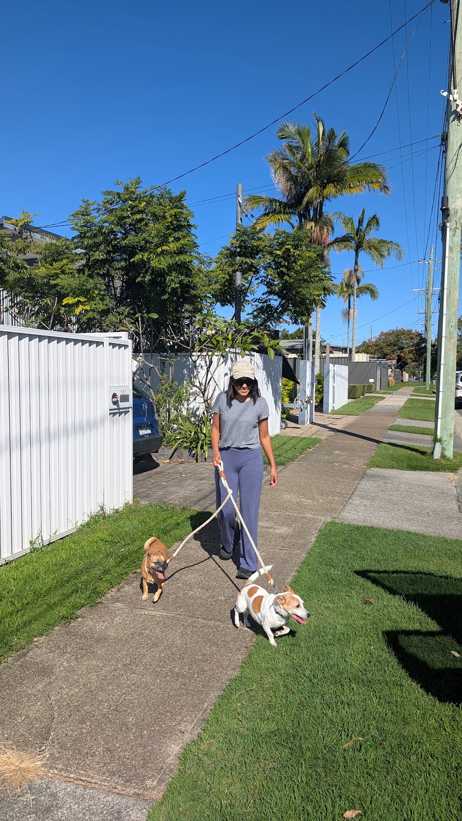 Liams Pet Sitting Gold Coast | Coombabah QLD 4216, Australia | Phone: 0493 407 030