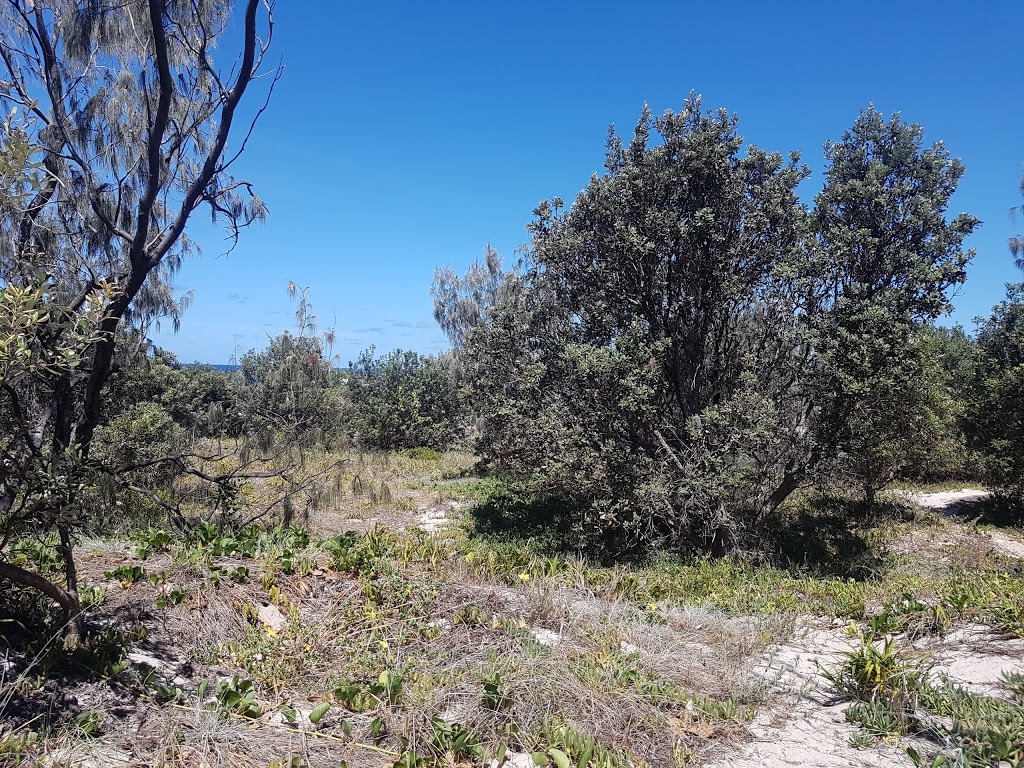 Blue Lagoon Sunrover Campsite | Track to Sunrover Site, Moreton Island QLD 4025, Australia | Phone: (07) 3203 4241