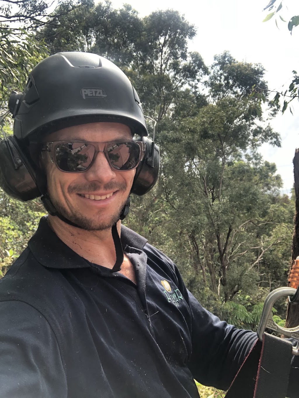 EMBARK Lawn, Garden & Tree Care | 38 Lexington Dr, Worongary QLD 4213, Australia | Phone: 0410 712 484