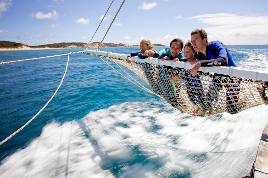 Swim with dolphins and seals | Shop 3. Building 6, Queenscliff Boat Harbour, Queenscliff VIC 3225, Australia | Phone: (03) 5258 3889