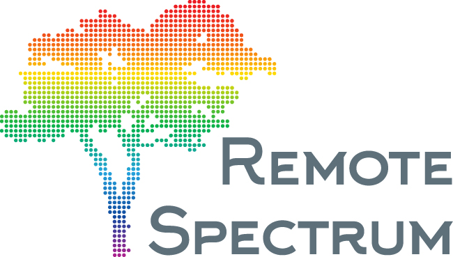 Remote-Spectrum |  | 19 Mammoth St, Witchcliffe WA 6286, Australia | 0897576985 OR +61 8 9757 6985