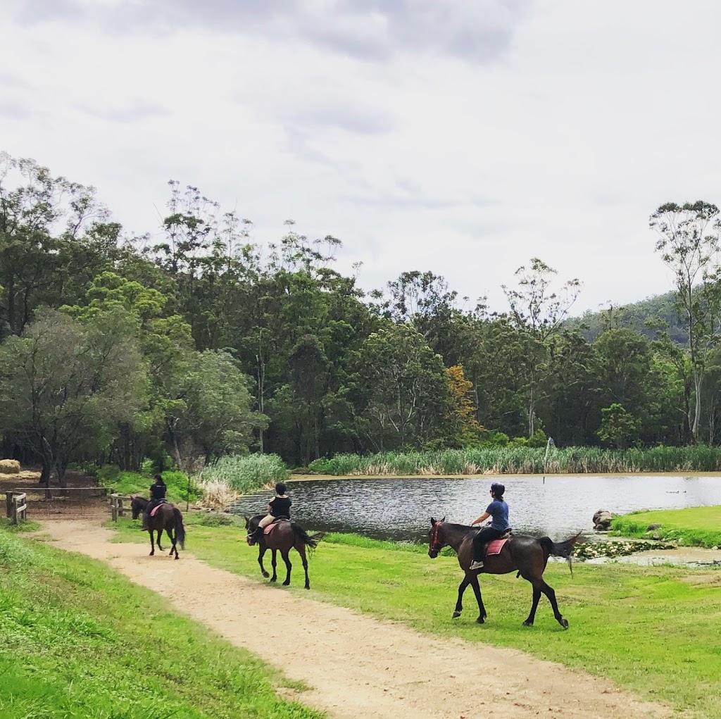 Horse Riding Hinterland | travel agency | Cedar Creek Falls Rd, Tamborine QLD 4270, Australia | 0755457963 OR +61 7 5545 7963