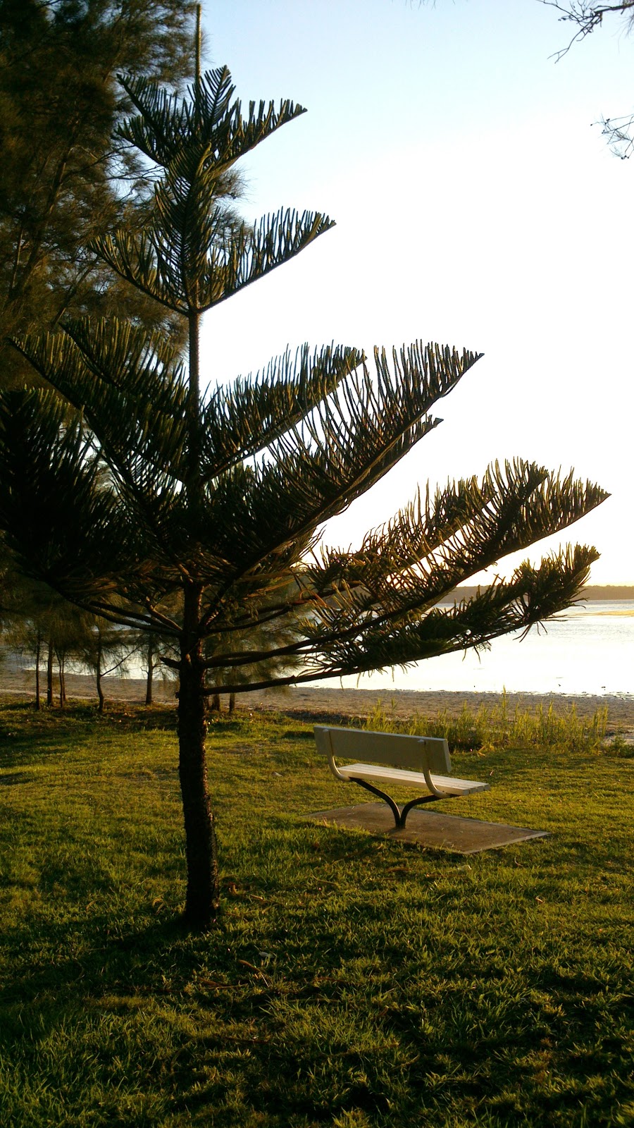 Paradise Beach Reserve | park | Unnamed Road, Sanctuary Point NSW 2540, Australia | 0244293111 OR +61 2 4429 3111